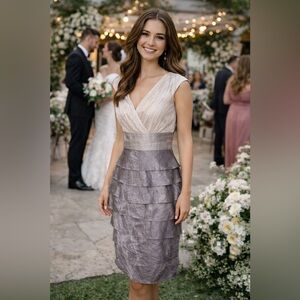 Adrianna Pappell Shutter Pleated Color Block Dress